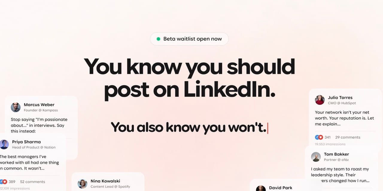 Outerview — Turn conversations into LinkedIn content